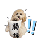 モナカスタンプ♡♡（個別スタンプ：14）