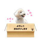 モナカスタンプ♡♡（個別スタンプ：16）