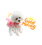 takaponちのくまたん✩.*˚（個別スタンプ：1）