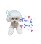takaponちのくまたん✩.*˚（個別スタンプ：3）