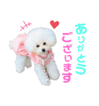 takaponちのくまたん✩.*˚（個別スタンプ：4）