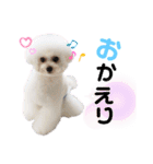 takaponちのくまたん✩.*˚（個別スタンプ：9）