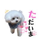 takaponちのくまたん✩.*˚（個別スタンプ：10）