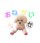 takaponちのくまたん✩.*˚（個別スタンプ：14）
