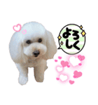 takaponちのくまたん✩.*˚（個別スタンプ：15）