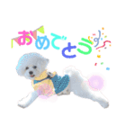 takaponちのくまたん✩.*˚（個別スタンプ：16）
