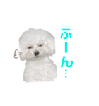 takaponちのくまたん✩.*˚（個別スタンプ：18）