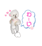 takaponちのくまたん✩.*˚（個別スタンプ：19）