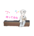 takaponちのくまたん✩.*˚（個別スタンプ：20）
