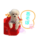 takaponちのくまたん✩.*˚（個別スタンプ：21）