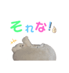 takaponちのくまたん✩.*˚（個別スタンプ：24）
