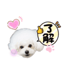 takaponちのくまたん✩.*˚（個別スタンプ：25）