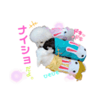 takaponちのくまたん✩.*˚（個別スタンプ：34）