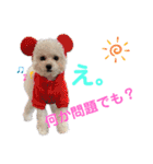 takaponちのくまたん✩.*˚（個別スタンプ：39）