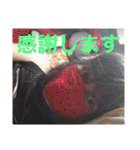 愛してるって言葉でいって★ママのスタンプ（個別スタンプ：11）