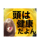 愛してるって言葉でいって★ママのスタンプ（個別スタンプ：22）