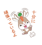 THE GRAY BUNNY ＆ THE BROWN BUNNY（個別スタンプ：24）