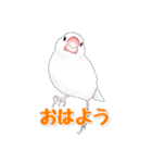 うちの白文鳥（個別スタンプ：2）