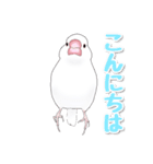 うちの白文鳥（個別スタンプ：3）