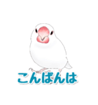 うちの白文鳥（個別スタンプ：4）