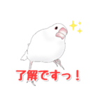 うちの白文鳥（個別スタンプ：12）