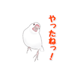 うちの白文鳥（個別スタンプ：14）