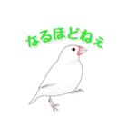 うちの白文鳥（個別スタンプ：15）