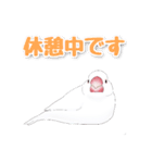 うちの白文鳥（個別スタンプ：16）