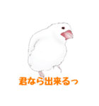 うちの白文鳥（個別スタンプ：17）