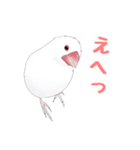 うちの白文鳥（個別スタンプ：25）