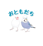 うちの白文鳥（個別スタンプ：31）