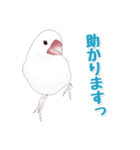 うちの白文鳥（個別スタンプ：37）