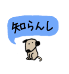 わんこっちC（個別スタンプ：13）