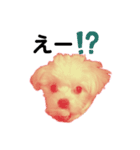 ミックス犬のミロク（個別スタンプ：8）