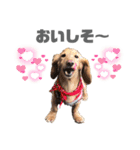 こたくんすたんぷ1（個別スタンプ：3）