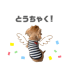 こたくんすたんぷ1（個別スタンプ：23）