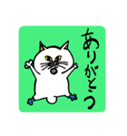 NEKO KEN スタンプ 1（個別スタンプ：1）