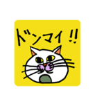 NEKO KEN スタンプ 1（個別スタンプ：5）