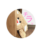 フライドチキンのドラム君まいにちスタンプ（個別スタンプ：5）