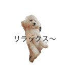 りあもなpart1（個別スタンプ：7）