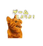 Y's あにまるず（個別スタンプ：11）
