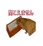Y's あにまるず（個別スタンプ：21）