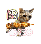 Y's あにまるず（個別スタンプ：24）