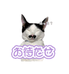 Y's あにまるず（個別スタンプ：28）