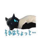 Y's あにまるず（個別スタンプ：31）