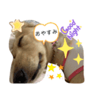 くうたんとレオの仲良しスタンプ（個別スタンプ：8）