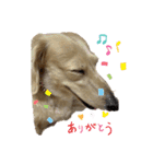くうたんとレオの仲良しスタンプ（個別スタンプ：11）