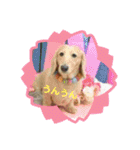 くうたんとレオの仲良しスタンプ（個別スタンプ：17）