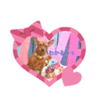 くうたんとレオの仲良しスタンプ（個別スタンプ：20）