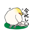 オカメインコ生活りたーんず（個別スタンプ：14）